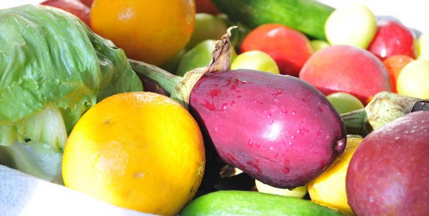 冬季阳台种这3种“菜”，想吃就摘一把，整个冬季不愁没菜吃