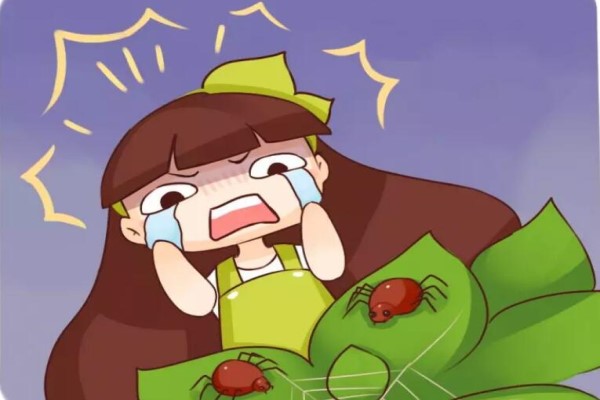 黄叶烂根不开花？只需2步就处理，养10年都不是事！