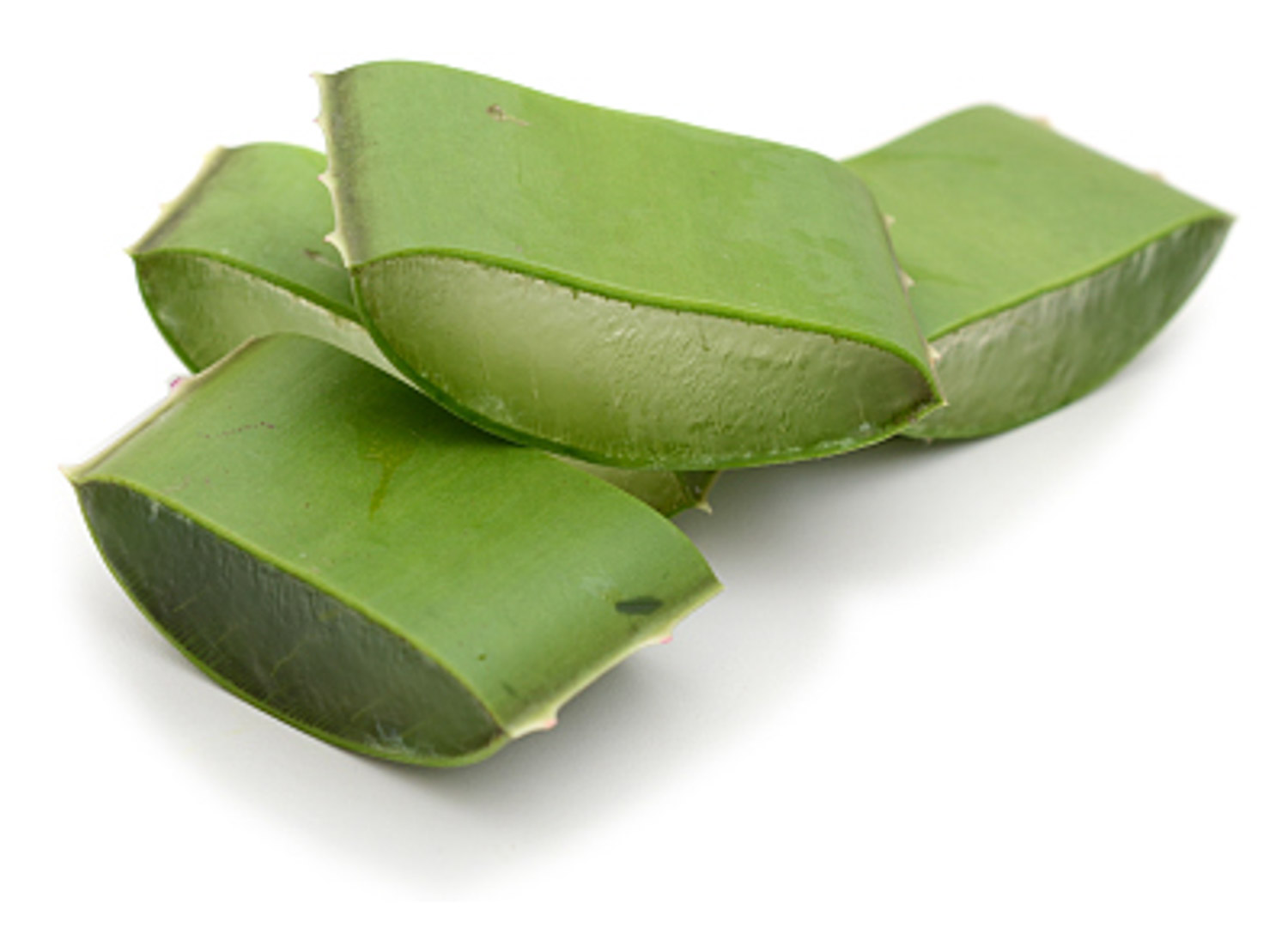 芦荟叶片干了如何办