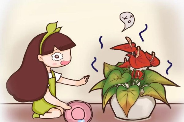 夏季的花一晒就干，学会一招，叶子立马水灵灵！