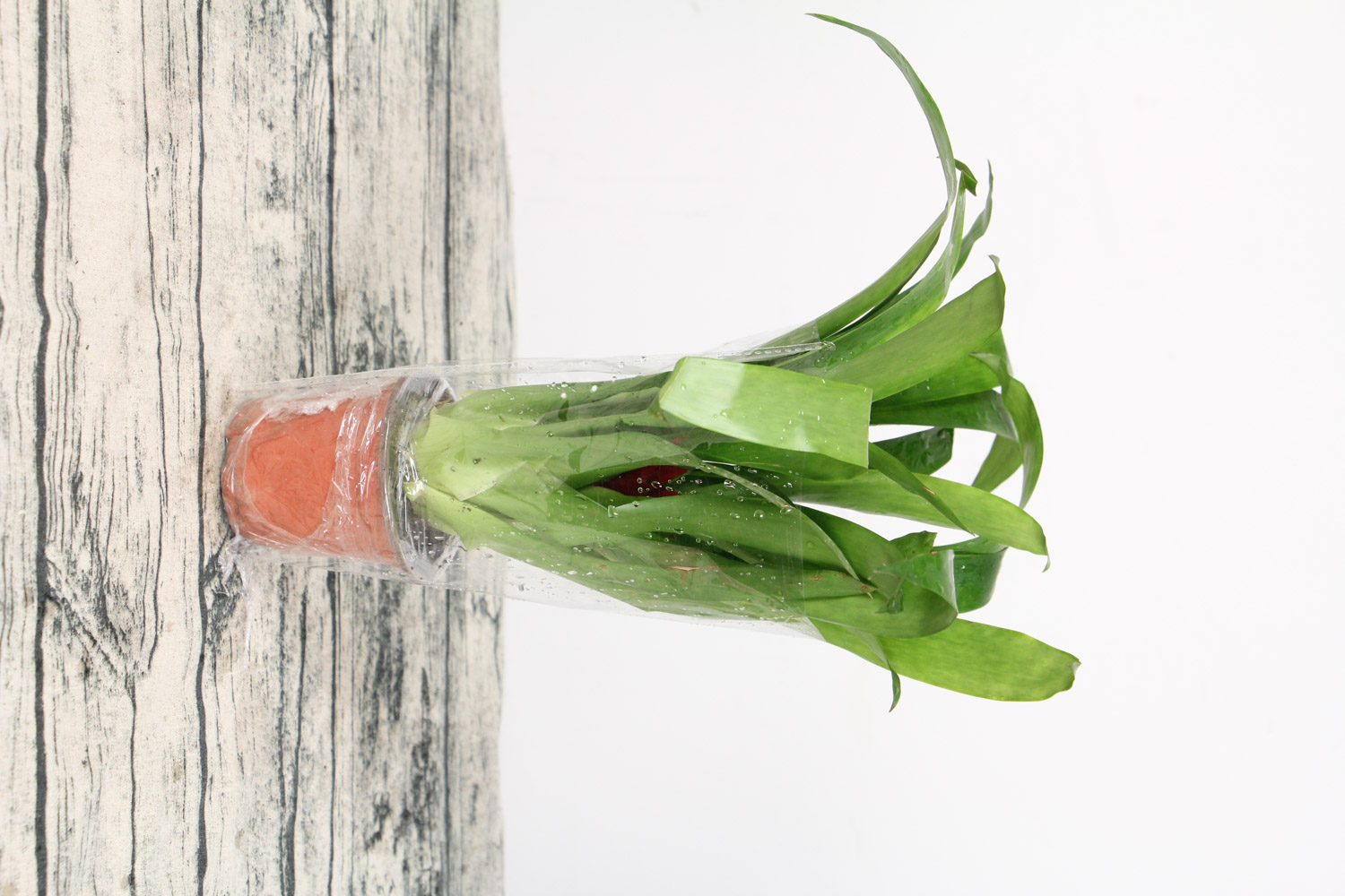 鸿运当头不红了如何办，如何养才红