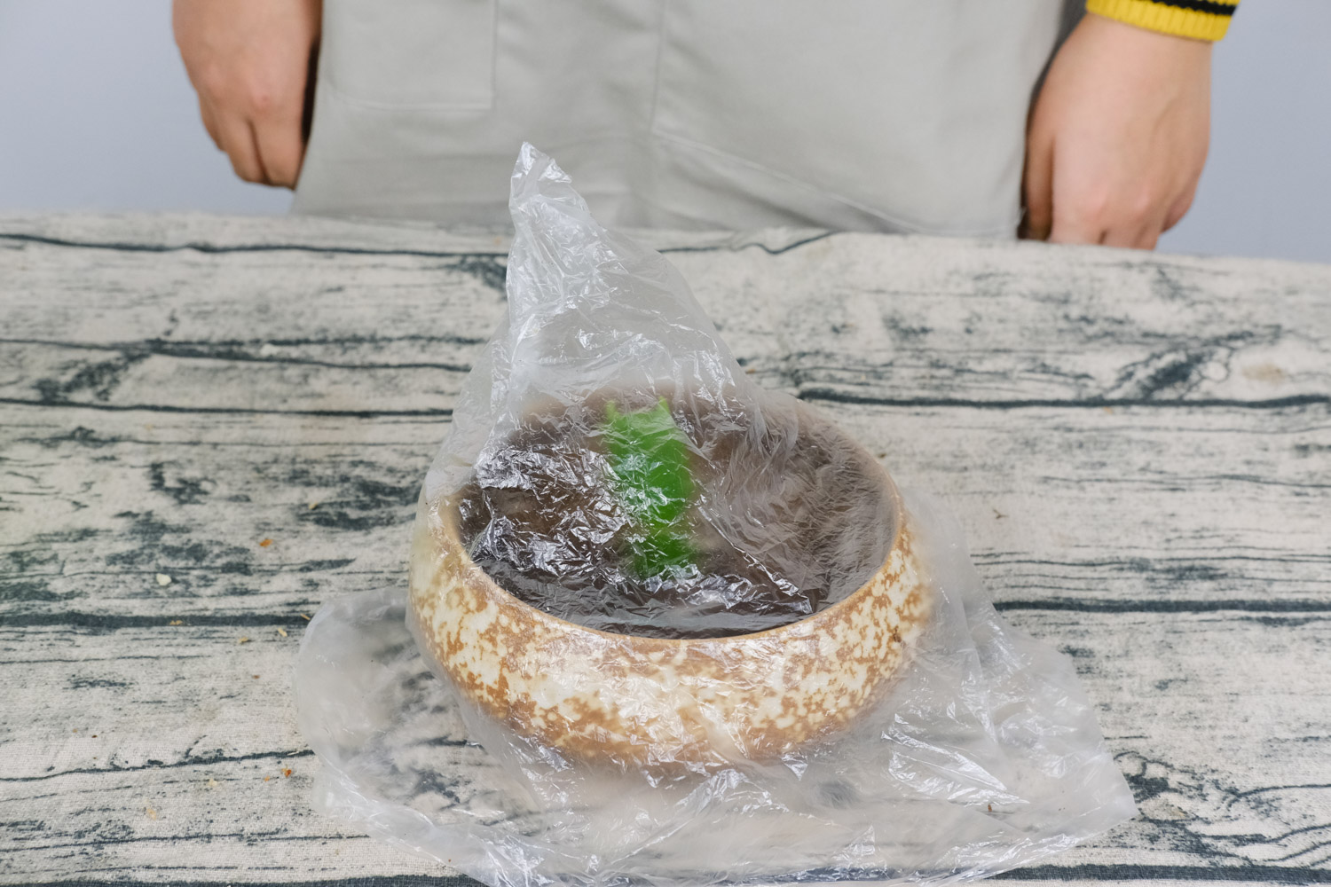 蟹脚兰为何不开花