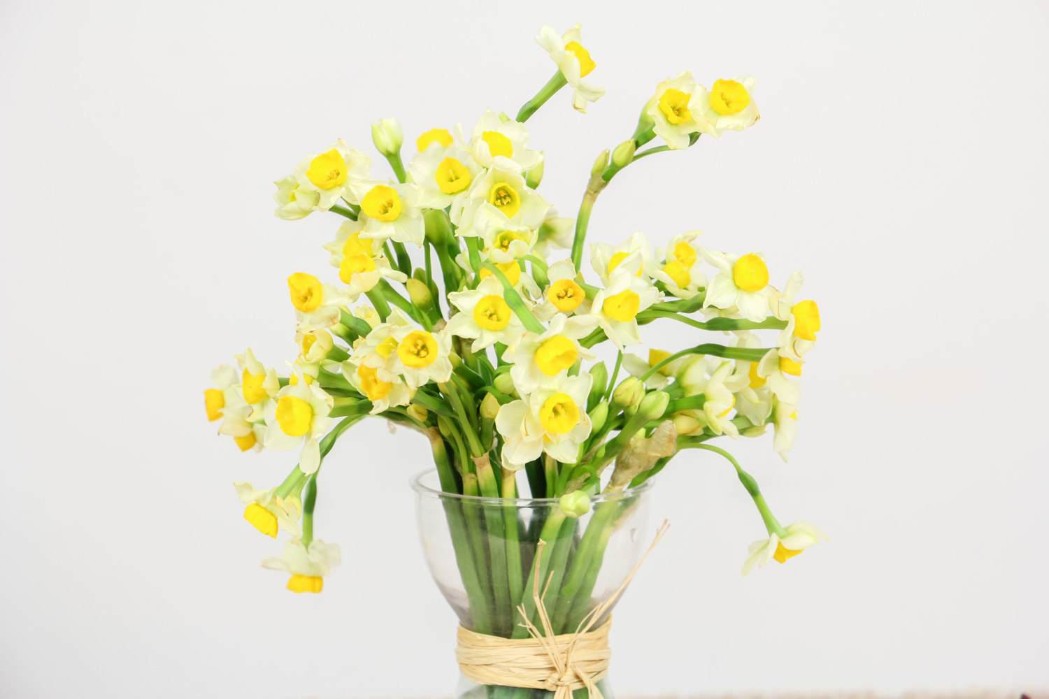 水仙 水仙花花苞蔫了如何办