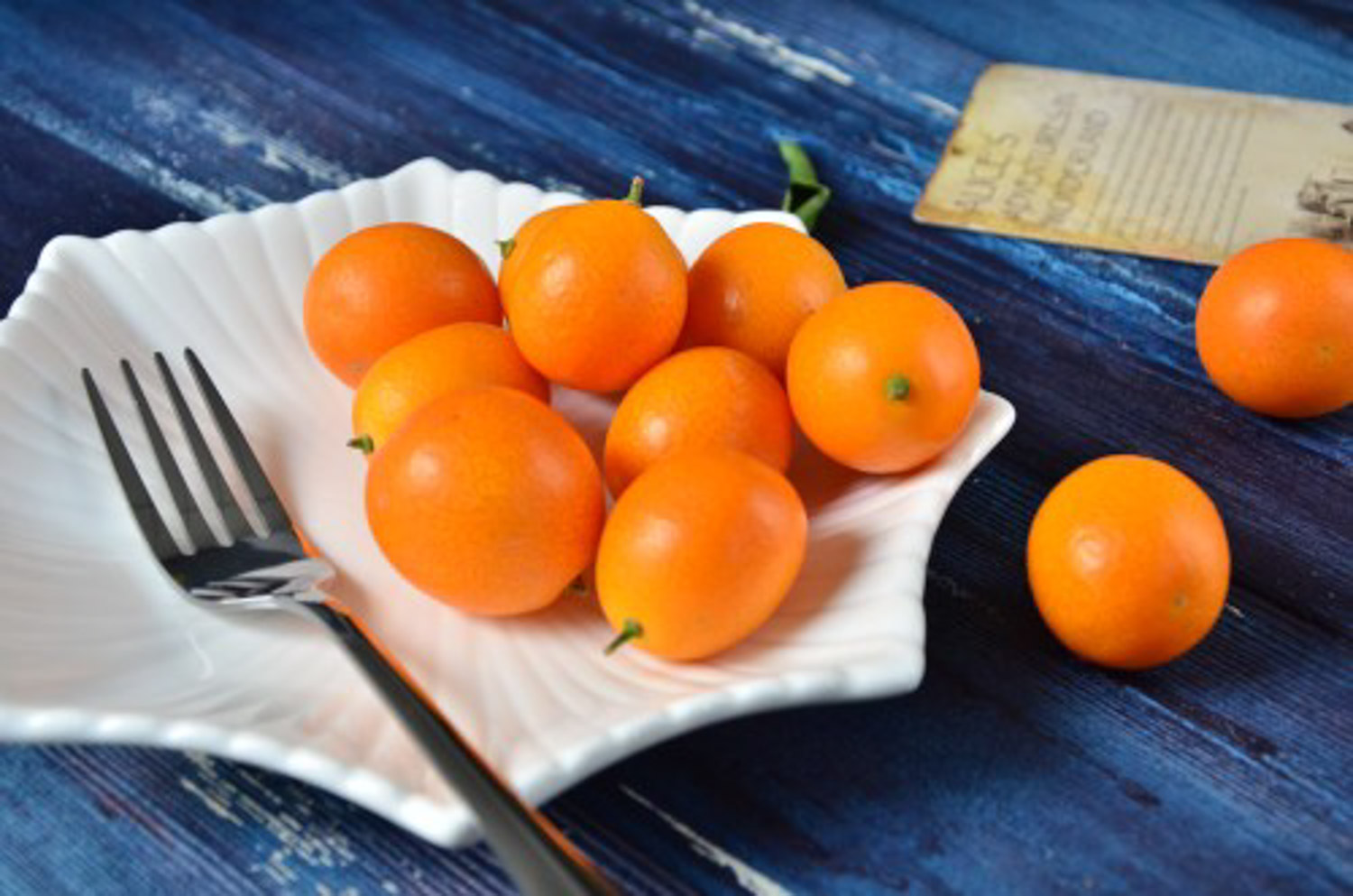 金桔树春季会掉叶子吗