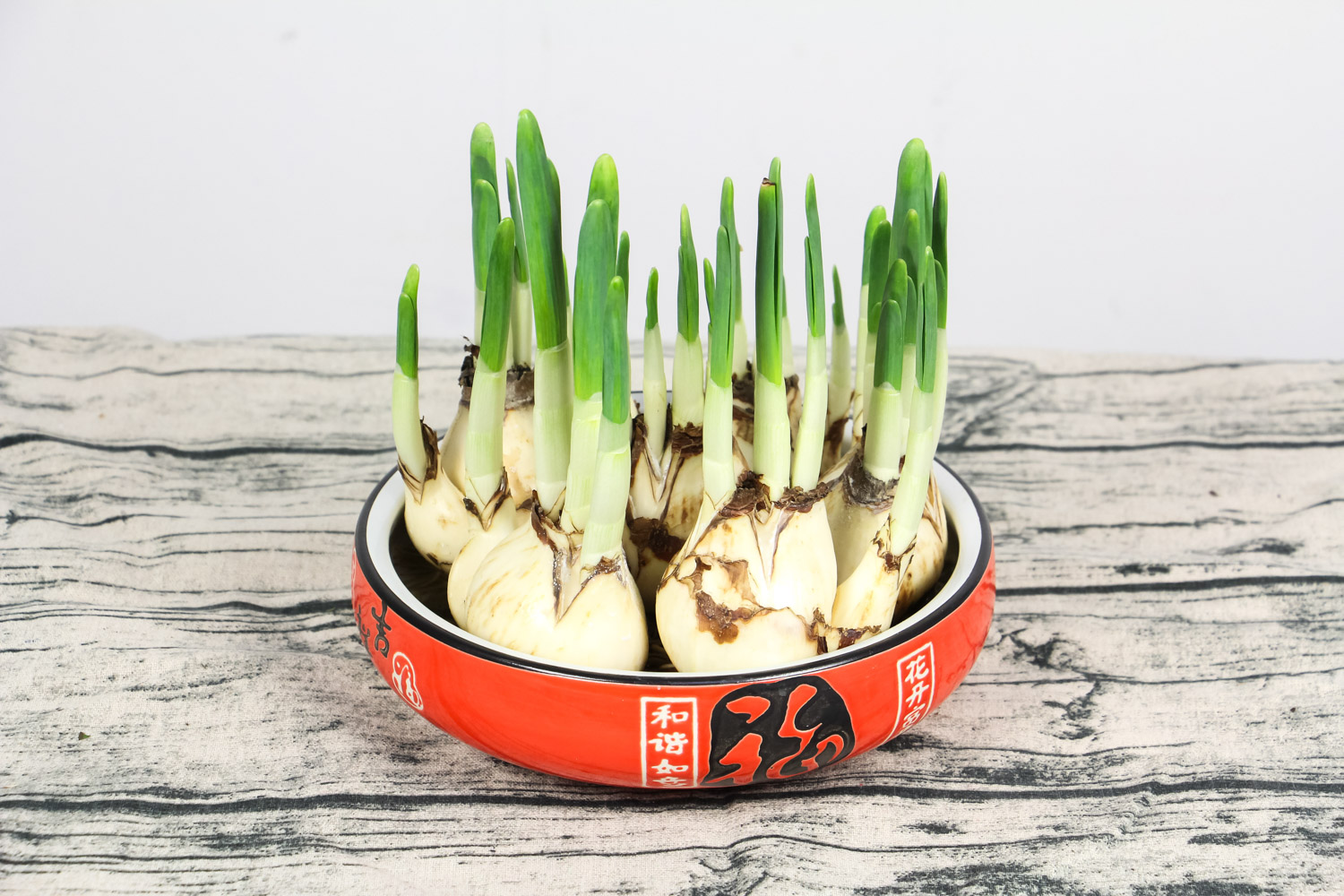 水仙花突然软了是什么原因