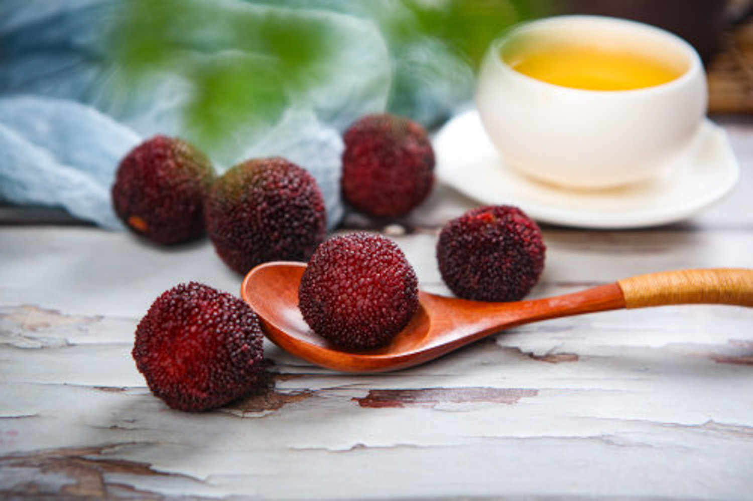 杨梅为何开花不结果