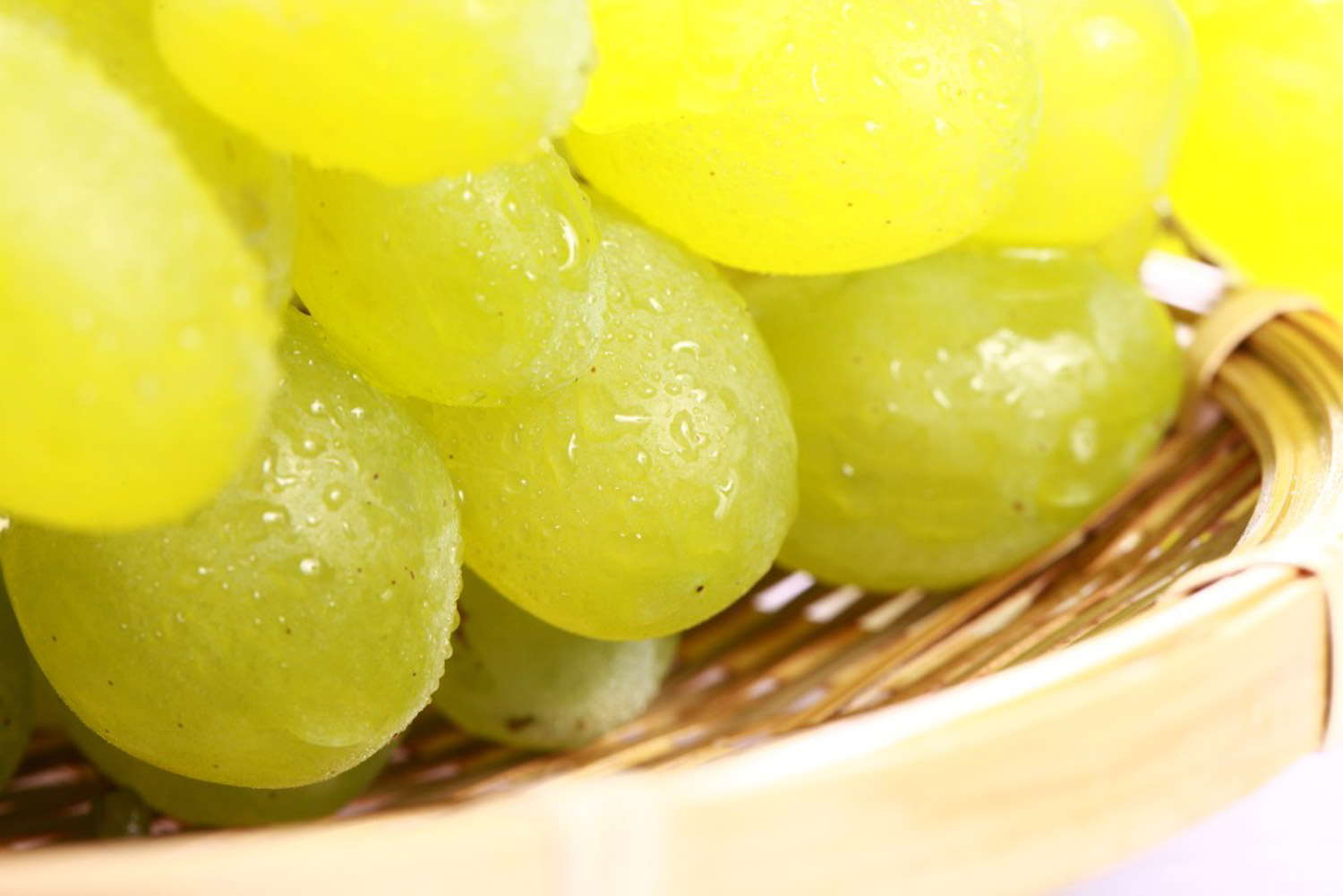 葡萄黄叶病有几种，治疗办法