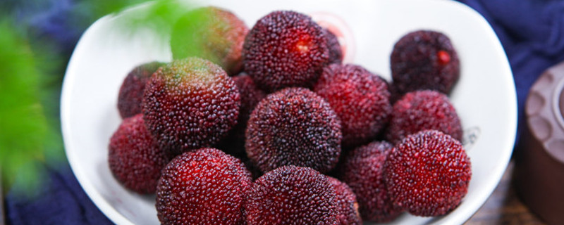 杨梅树掉叶子的原因，如何处理