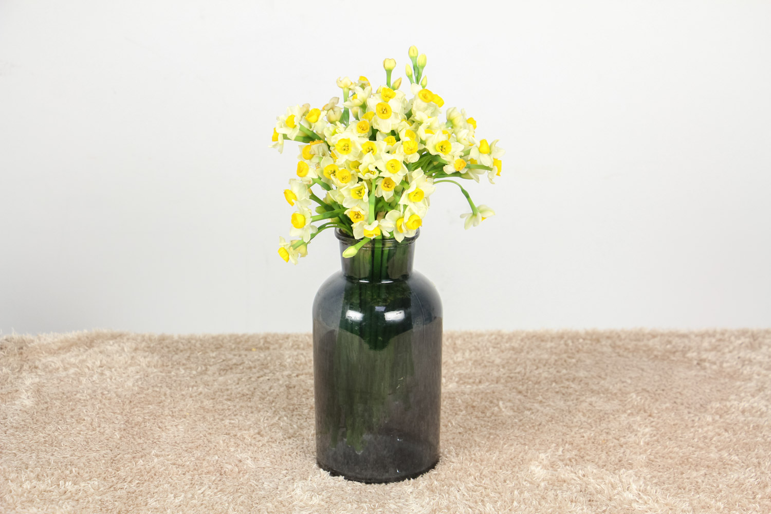 水仙 水仙花光长叶不开花如何办,不开花是什么原因