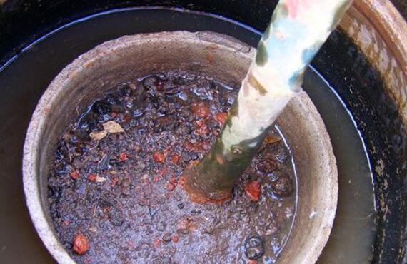 刚买的茶花如何处理，新买茶花处理上盆的办法