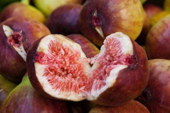 无花果嫁接时间和办法