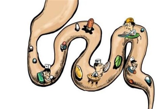 无花果的功效与作用,润肠通便还能帮助消化