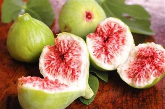 无花果如何扦插,六个步骤让你扦插成功