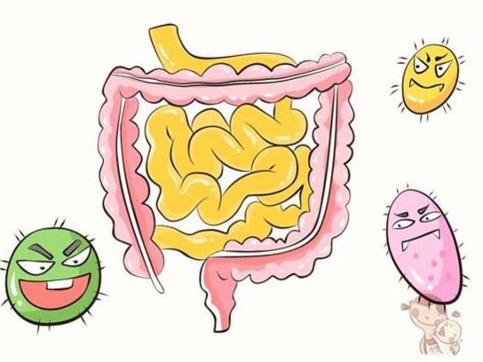 新鲜的无花果如何吃,新鲜无花果的吃法大全