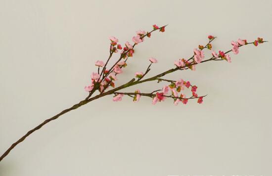 梅花插瓶如何养，梅花用什么瓶子养(素净陶瓷瓶或铜瓶)