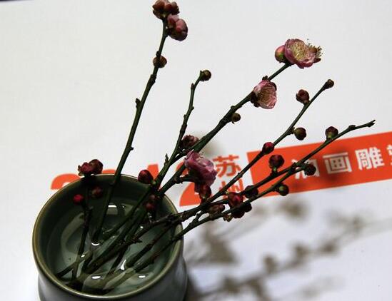 梅花插瓶如何养，梅花用什么瓶子养(素净陶瓷瓶或铜瓶)