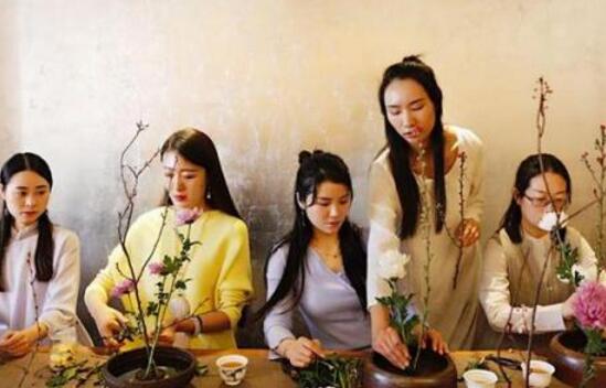 折下来的梅花枝如何养，这样处理让它开花不断