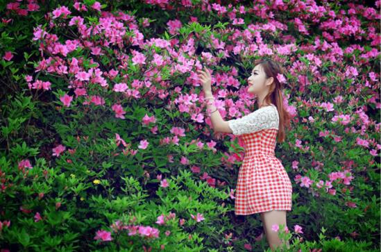 杜鹃花如何养才长得好，教你四种养好杜鹃花的秘诀