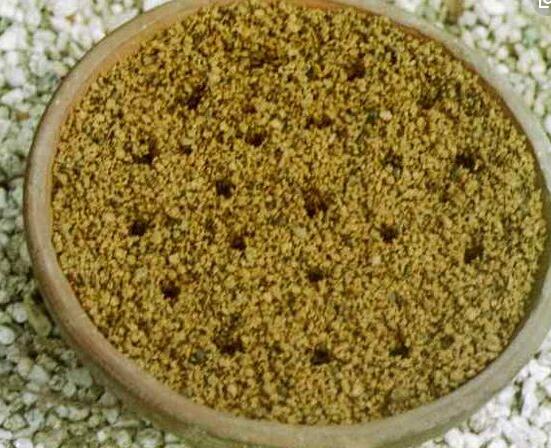 杜鹃花叶子下垂如何办，四种办法让你的杜鹃花恢复生机