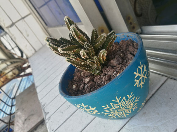 万重山变软了还能救活吗，听实话