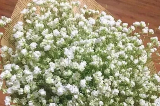 满天星如何保存