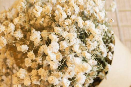 满天星干花如何插花瓶