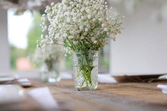 买回来的满天星如何养