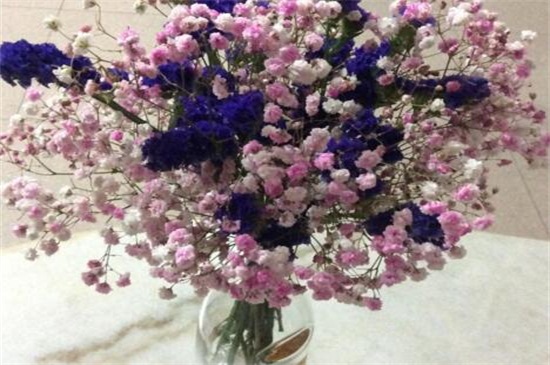 满天星买来后如何保存，可扦插水中或做成干花