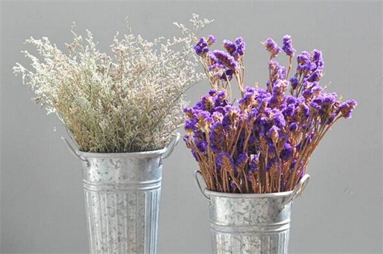 满天星买来后如何保存，可扦插水中或做成干花