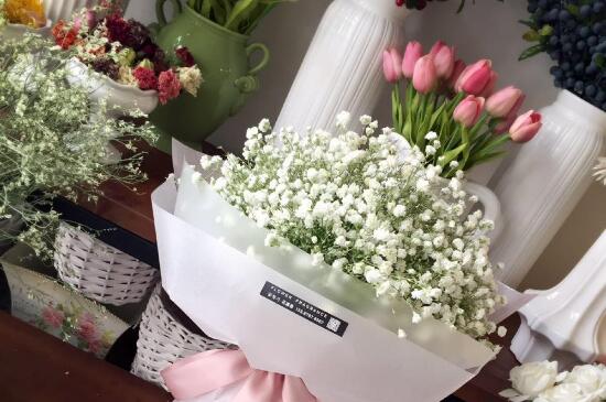 满天星开花后如何浇水，早晚浇水并且水肥结合