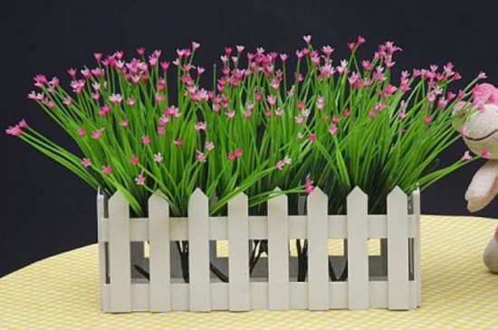 满天星盆栽如何养，沙质土壤栽培并散光养护