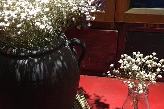 满天星叶子干枯如何办