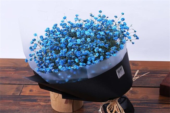 满天星适合送什么人