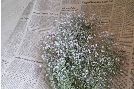 新鲜满天星如何做干花，满天星干花制作4大办法