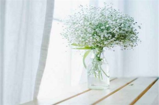 新鲜满天星如何做干花，满天星干花制作4大办法