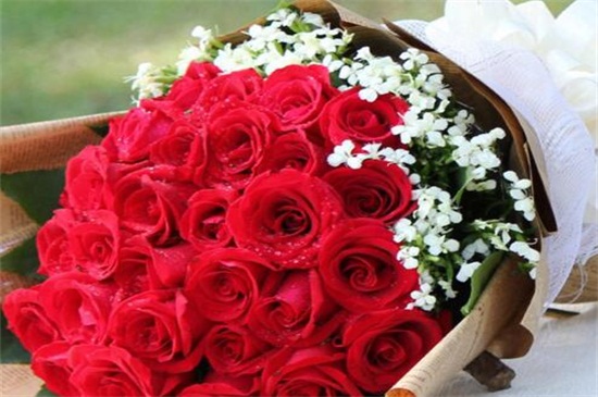 满天星为何比玫瑰贵，保鲜期长/养殖环境要求高