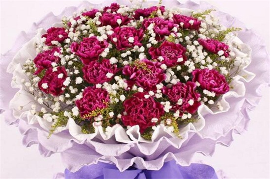 满天星为何比玫瑰贵，保鲜期长/养殖环境要求高