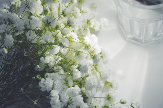 一束满天星大约多少钱，20～80元不等/满天星的花语