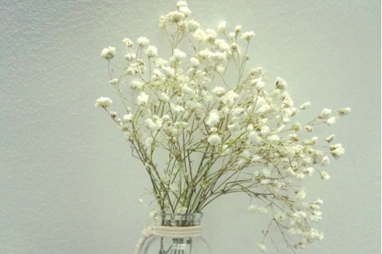 一束满天星大约多少钱，20～80元不等/满天星的花语