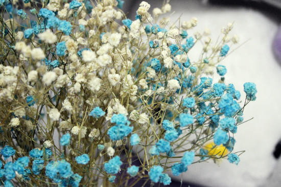 一束满天星大约多少钱，20～80元不等/满天星的花语