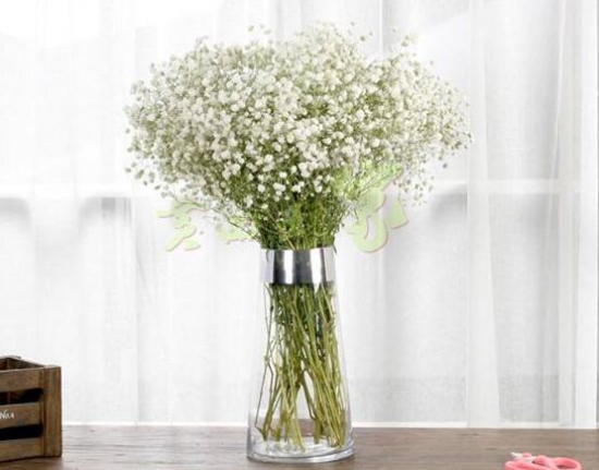 满天星鲜花能放多久？满天星鲜花如何保存