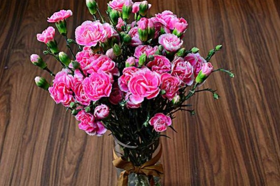 康乃馨如何催开，补光并施加磷钾肥