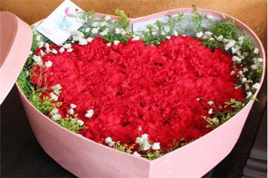 红色康乃馨代表什么，代表着热情迷恋的爱