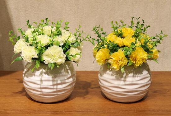 康乃馨一年开几次花，一次/花期在5～8月