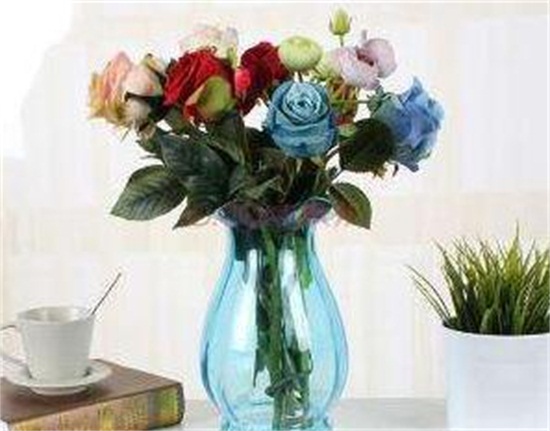 康乃馨如何延长保存时间，5个办法教你保存美丽的康乃馨
