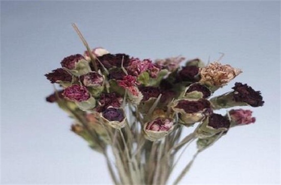 康乃馨如何延长保存时间，5个办法教你保存美丽的康乃馨