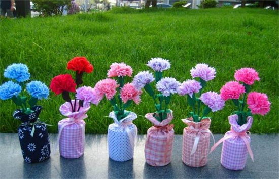 康乃馨如何延长保存时间，5个办法教你保存美丽的康乃馨