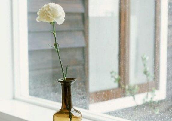 康乃馨花束如何养，5个步骤让你的康乃馨花束活过来