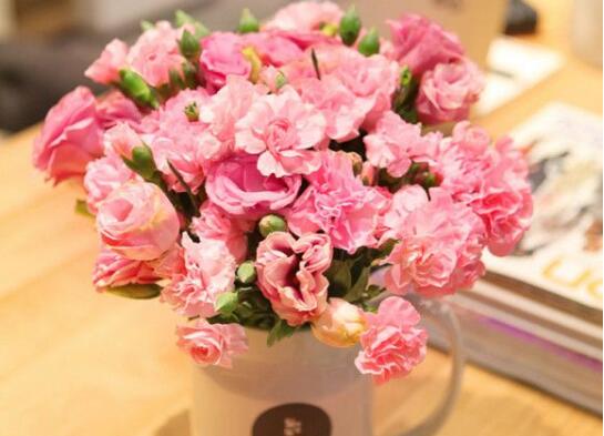 康乃馨花束如何养，5个步骤让你的康乃馨花束活过来