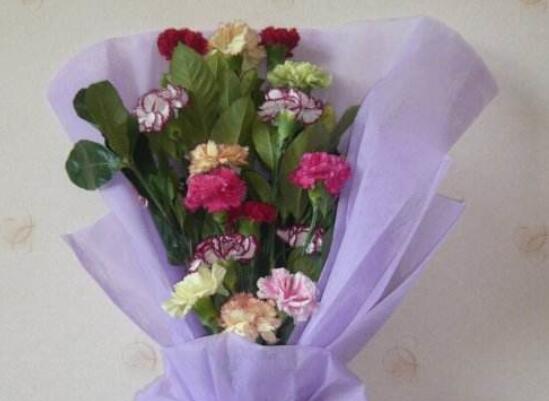 康乃馨花束如何养，5个步骤让你的康乃馨花束活过来